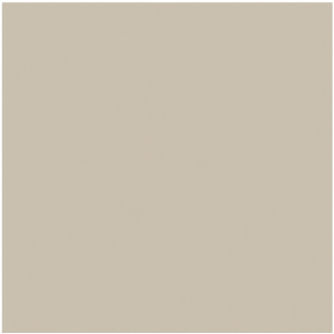 SOLID COLOR TAUPE BEIGE NATURALE 60X60
