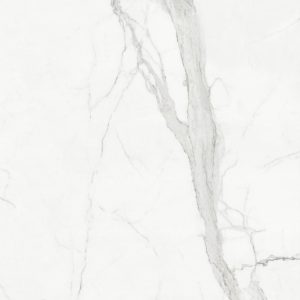 UNION STONE WHITE CARRARA NATURALE 120X120