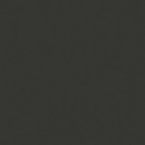 MEEK ASH – RUSTIC NATURALE 3.200 X 1.600 X 12MM